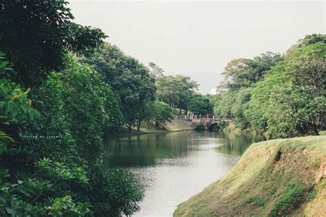 台北磁場好的地方|《台北南港》南港公園 蘊藏世界罕見最高地穴能量公園、盡情享。